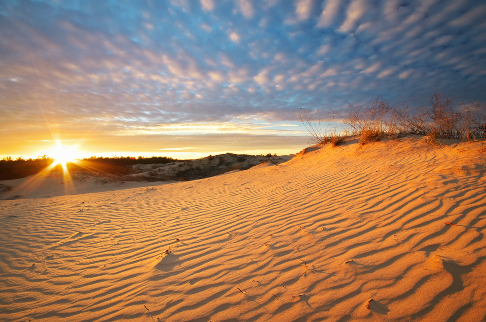 Desert Safari Dubai