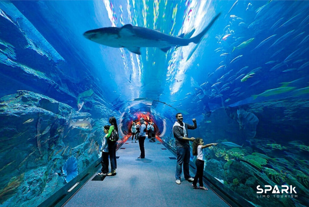 Dubai Mall Aquarium & underwater zoo