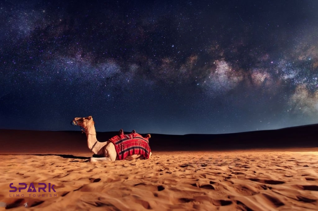 desert safari in Dubai