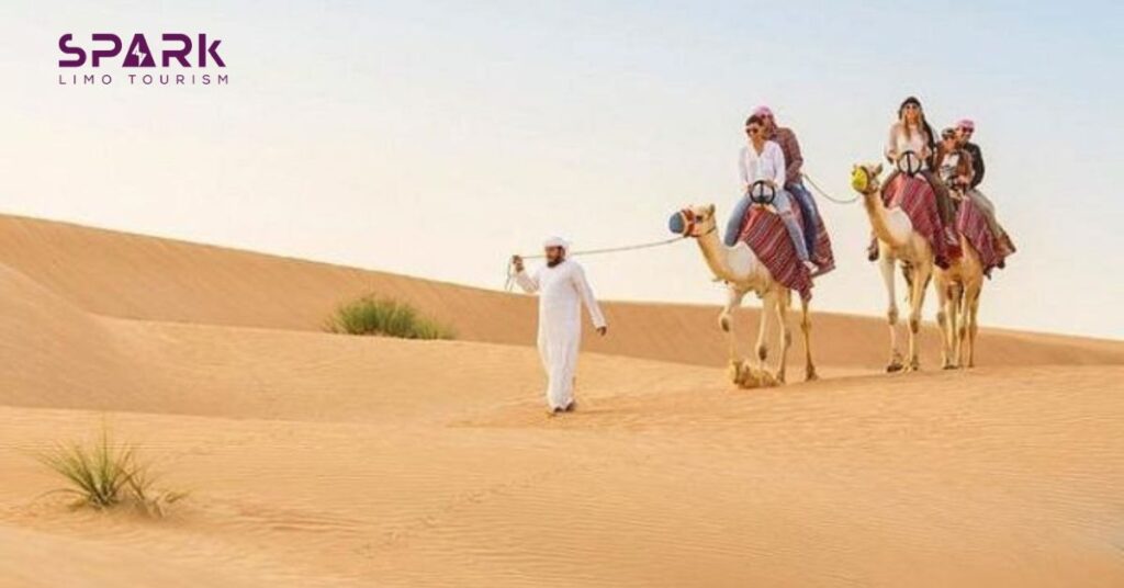 camel ride in dubai