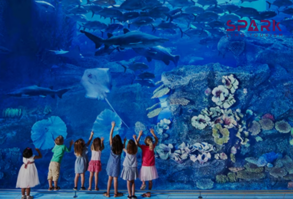 Dubai Mall Aquarium 

