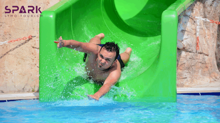 wild wadi book online