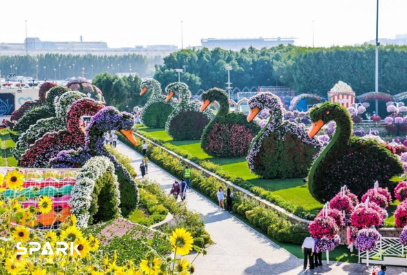 dubai miracle garden