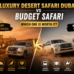 desert safari